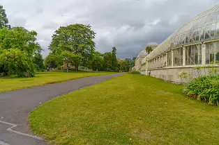 SOME OF THE GLASSHOUSES AT THE BOTANIC GARDENS [28 AUGUST 2024]-239340-1