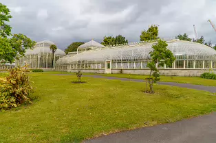 SOME OF THE GLASSHOUSES AT THE BOTANIC GARDENS [28 AUGUST 2024]-239341-1
