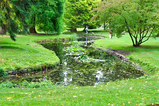 THE POND AREA OF THE BOTANIC GARDENS THE POND AREA OF THE BOTANIC GARDENS