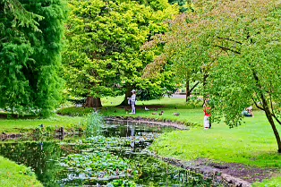THE POND AREA OF THE BOTANIC GARDENS [28 AUGUST 2024]--239347-1