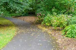 THE POND AREA OF THE BOTANIC GARDENS [28 AUGUST 2024]--239348-1