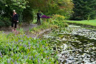 THE POND AREA OF THE BOTANIC GARDENS [28 AUGUST 2024]--239358-1