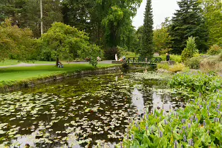 THE POND AREA OF THE BOTANIC GARDENS [28 AUGUST 2024]--239360-1