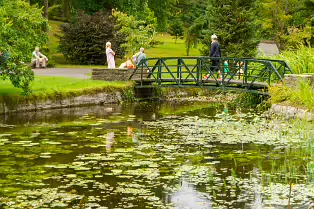 THE POND AREA OF THE BOTANIC GARDENS [28 AUGUST 2024]--239361-1