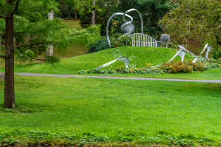 THE POND AREA OF THE BOTANIC GARDENS [28 AUGUST 2024]--239362-1