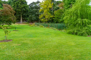 THE POND AREA OF THE BOTANIC GARDENS [28 AUGUST 2024]--239372-1