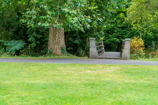 THE POND AREA OF THE BOTANIC GARDENS [28 AUGUST 2024]--239379-1