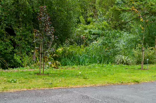 THE POND AREA OF THE BOTANIC GARDENS [28 AUGUST 2024]--239380-1