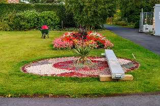 FLOWERS AT THE BOTANIC GARDENS IN GLASNEVIN [SCULPTURE IN CONTEXT 2024 WAS CANCELLED]-239393-1