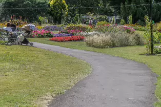 FLOWERS AT THE BOTANIC GARDENS IN GLASNEVIN [SCULPTURE IN CONTEXT 2024 WAS CANCELLED]-239394-1