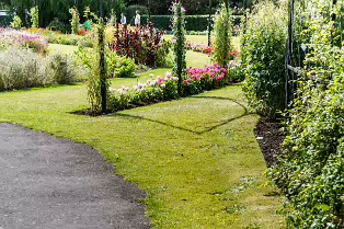 FLOWERS AT THE BOTANIC GARDENS IN GLASNEVIN [SCULPTURE IN CONTEXT 2024 WAS CANCELLED]-239395-1