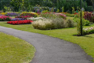 FLOWERS AT THE BOTANIC GARDENS IN GLASNEVIN [SCULPTURE IN CONTEXT 2024 WAS CANCELLED]-239396-1