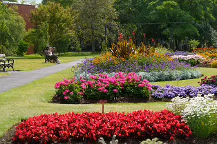 FLOWERS AT THE BOTANIC GARDENS IN GLASNEVIN [SCULPTURE IN CONTEXT 2024 WAS CANCELLED]-239399-1