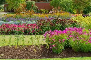 FLOWERS AT THE BOTANIC GARDENS IN GLASNEVIN [SCULPTURE IN CONTEXT 2024 WAS CANCELLED]-239400-1
