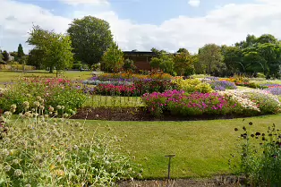 FLOWERS AT THE BOTANIC GARDENS IN GLASNEVIN [SCULPTURE IN CONTEXT 2024 WAS CANCELLED]-239401-1