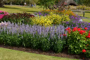 FLOWERS AT THE BOTANIC GARDENS IN GLASNEVIN [SCULPTURE IN CONTEXT 2024 WAS CANCELLED]-239404-1