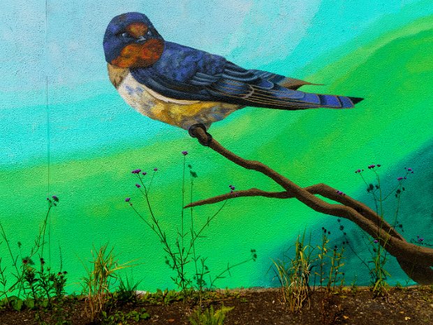 MURALS BY KIRSTY MAHER