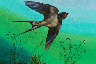 MURALS IN THE PARK BY KIRSTY MAHER [CARLOW TOWN PARK AND PLAYGROUND]-239512-1