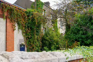 DARTRY ROAD [BETWEEN RATHMINES AND MILLTOWN]-239244-1