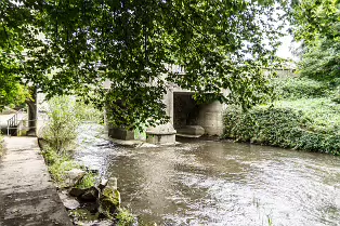 MILLTOWN SECTION OF THE DODDER TRAIL [DOGS ARE WELCOME BUT MUST BE ON A LEASH]-239199-1