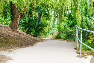 MILLTOWN SECTION OF THE DODDER TRAIL [DOGS ARE WELCOME BUT MUST BE ON A LEASH]-239200-1
