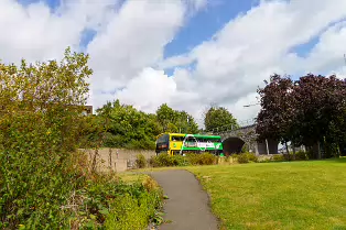 MILLTOWN SECTION OF THE DODDER TRAIL [DOGS ARE WELCOME BUT MUST BE ON A LEASH]-239212-1