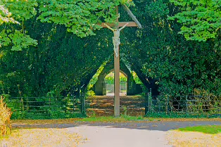 THE ENTRANCE TO ST. PATRICK'S CEMETERY AT MAYNOOTH UNIVERSITY [FEATURING A SHADED TUNNEL OF INTERLOCKING YEW TREES]-237728-1