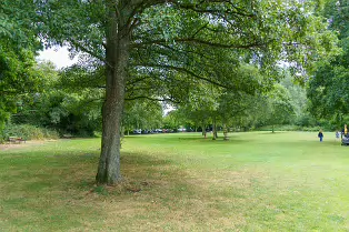 GRACE O'DONNELL MEMORIAL PARK [AND THE DARTRY PARK WATERFALL]-239190-1