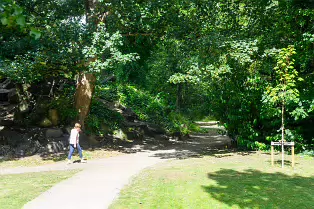 IVEAGH GARDENS OFTEN DESCRIBED AS A HIDDEN GEM OR SECRET GARDEN [I WAS SURPRISED TO SEE A HERON]-238174-1 IVEAGH GARDENS OFTEN DESCRIBED AS A HIDDEN GEM OR SECRET GARDEN