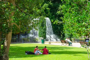 IVEAGH GARDENS OFTEN DESCRIBED AS A HIDDEN GEM OR SECRET GARDEN [I WAS SURPRISED TO SEE A HERON]-238189-1 IVEAGH GARDENS OFTEN DESCRIBED AS A HIDDEN GEM OR SECRET GARDEN