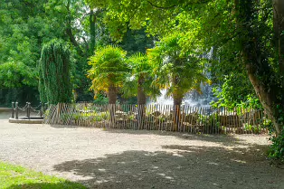 IVEAGH GARDENS OFTEN DESCRIBED AS A HIDDEN GEM OR SECRET GARDEN [I WAS SURPRISED TO SEE A HERON]-238194-1 IVEAGH GARDENS OFTEN DESCRIBED AS A HIDDEN GEM OR SECRET GARDEN
