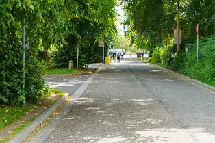 LEINSTER STREET IN MAYNOOTH [IN PREVIOUS POSTS I REFERRED TO THIS AS CANAL PLACE]-237711-1
