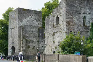 MAYNOOTH CASTLE [IN MAYNOOTH COUNTY KILDARE]-237855-1