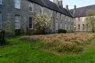 ST PATRICK'S COLLEGE IN MAYNOOTH [COUNTY KILDARE]-223088-1
