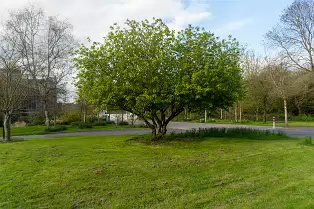 ST PATRICK'S COLLEGE IN MAYNOOTH [COUNTY KILDARE]-223090-1