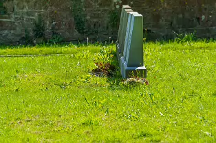 THE CEMETERY AT ST PATRICKS PONTIFICAL UNIVERSITY [31 JULY 2024]-237646-1