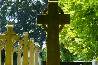 THE CEMETERY AT ST PATRICKS PONTIFICAL UNIVERSITY [31 JULY 2024]-237654-1