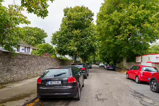 ORCHARD ROAD SOUTH [DARTRY AREA OF DUBLIN]-239281-1
