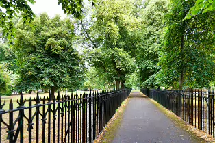 PALMERSTON PARK [DARTRY DUBLIN 6]-239168-1