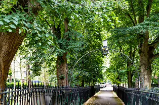 PALMERSTON PARK [DARTRY DUBLIN 6]-239170-1