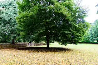 PALMERSTON PARK [DARTRY DUBLIN 6]-239171-1