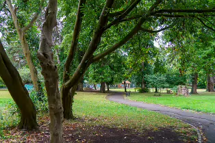 PALMERSTON PARK [DARTRY DUBLIN 6]-239173-1