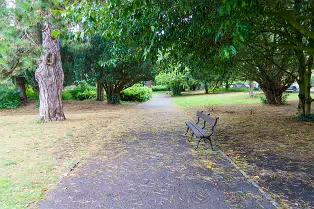 PALMERSTON PARK [DARTRY DUBLIN 6]-239176-1