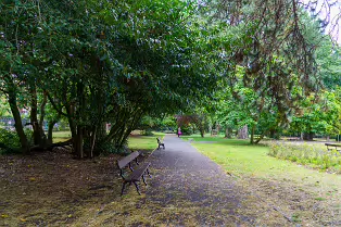 PALMERSTON PARK [DARTRY DUBLIN 6]-239177-1