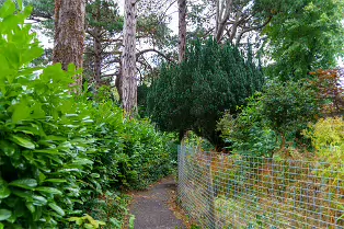 PALMERSTON PARK [DARTRY DUBLIN 6]-239180-1