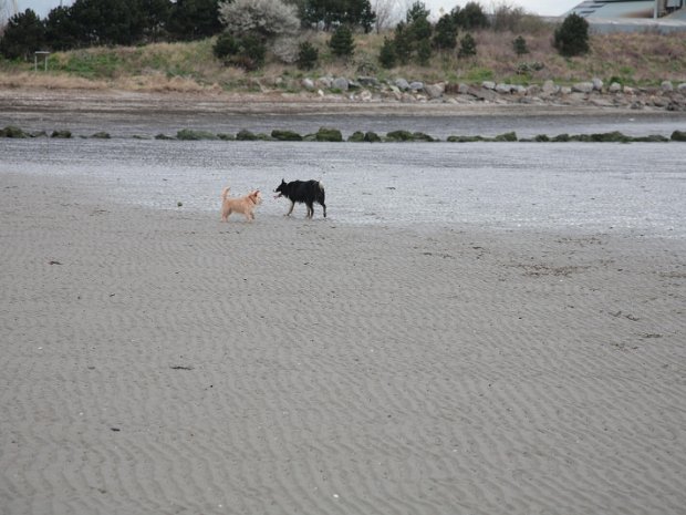 SANDYMOUNT STRAND