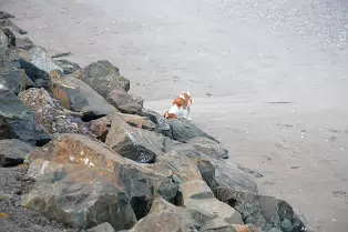SANDYMOUNT STRAND AS IT WAS IN 2008 [AVOID THE END NEAREST MERRION STRAND EVEN NOW IN 2024]-235950-1