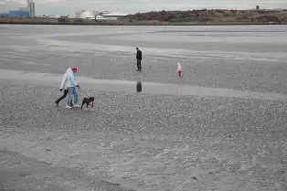 SANDYMOUNT STRAND AS IT WAS IN 2008 [AVOID THE END NEAREST MERRION STRAND EVEN NOW IN 2024]-235953-1