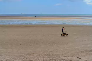 SANDYMOUNT STRAND AND PROMENADE [AUGUST 2024]-239823-1