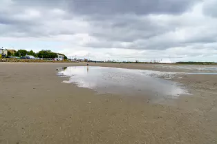 SANDYMOUNT STRAND AND PROMENADE [AUGUST 2024]-239840-1
